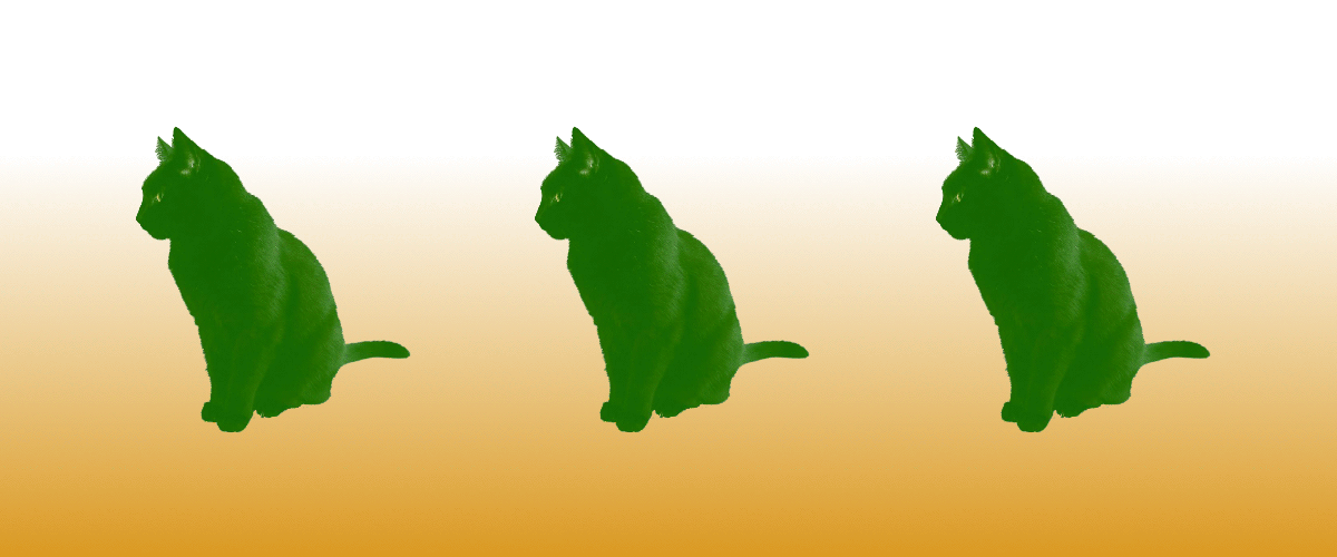 cat conveyer GIF with gradient