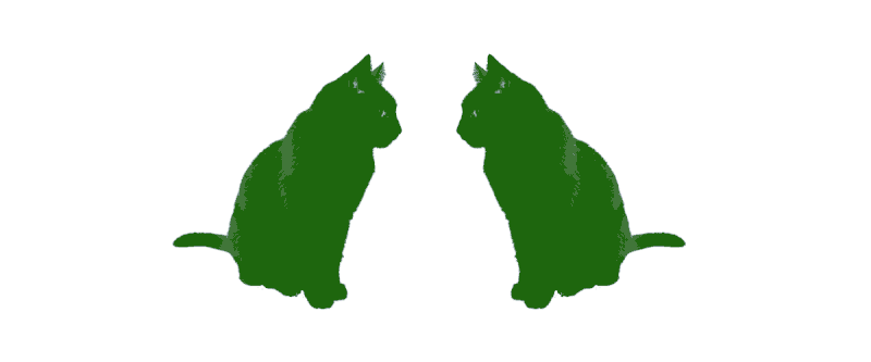 GIF of cats, before Gmail